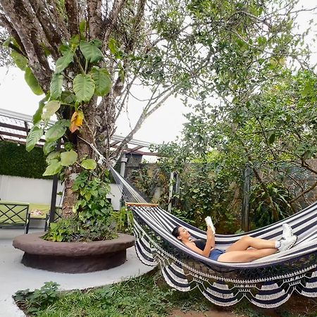 Montefresco Boutique Hostel Monteverde Exteriér fotografie